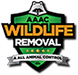 Wildlife Removal, Wild Animal Damage Repair, League City TX